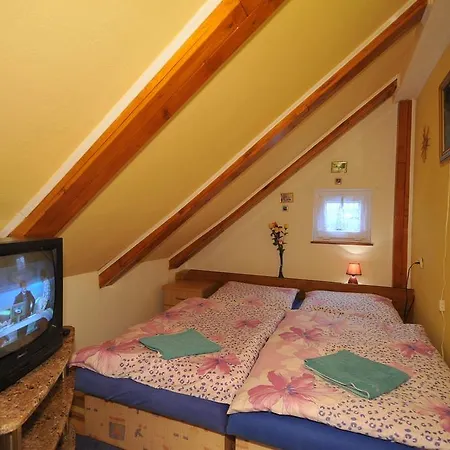 Homestay szállás U Vlasty *