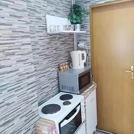 Проживание в семье U Vlasty *