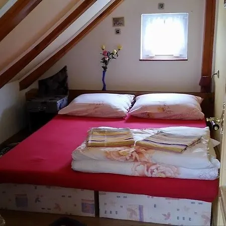 U Vlasty Homestay *