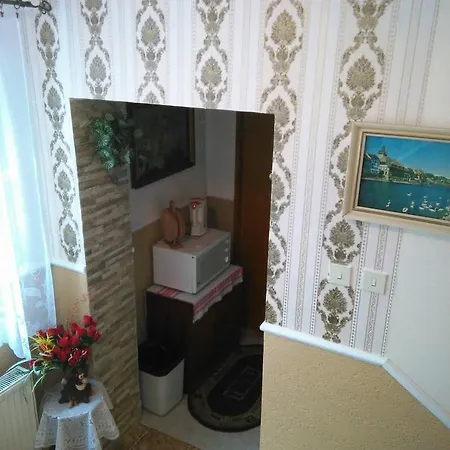 U Vlasty Homestay *